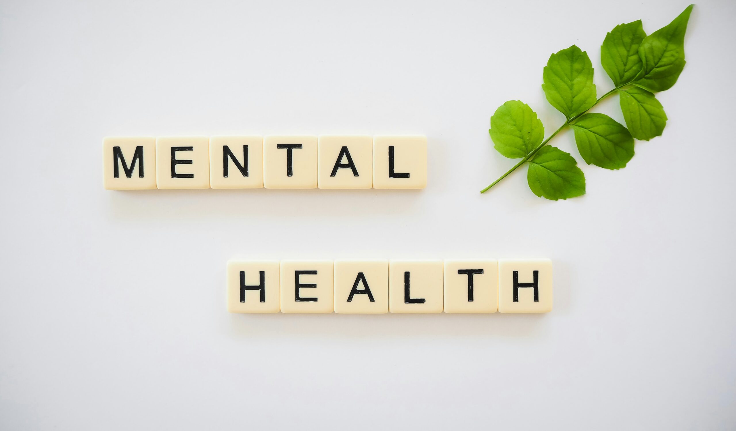 mental health support